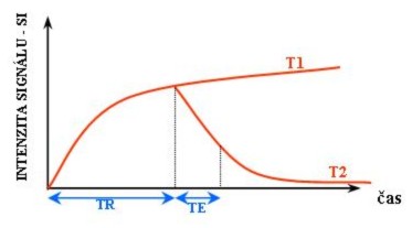 Effects of TR and TE on MR signal.